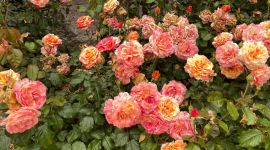 sejour06 170